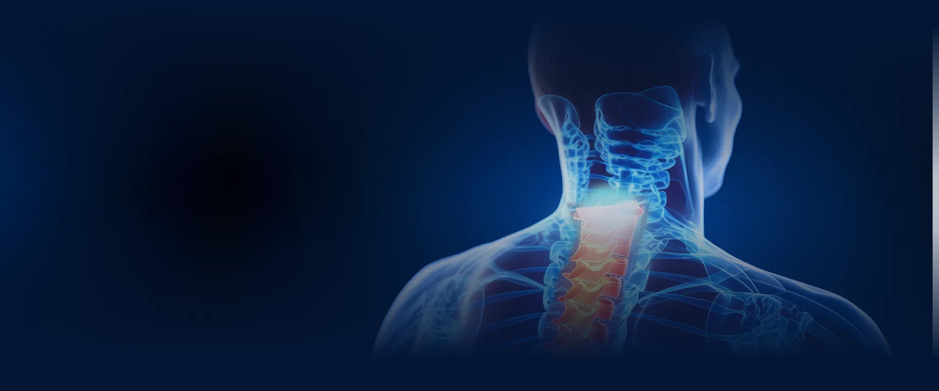 Spinal