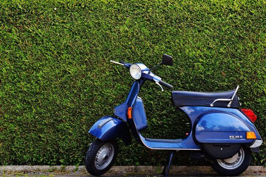classic-drive-foliage-159190