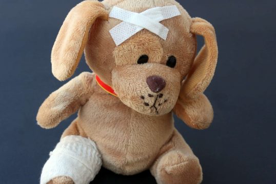 teddy-242851_1920
